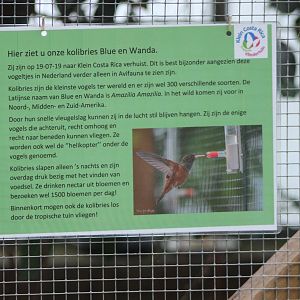 Sign about the Hummingbirds