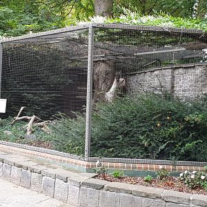 Speclated owl aviary