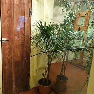 View into the Hummingbird enclosures