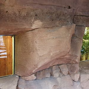 Emerald hummingbird enclosures