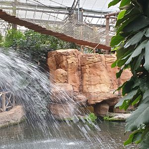 Waterfall in the Oasis