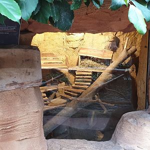 Chinchilla enclosure