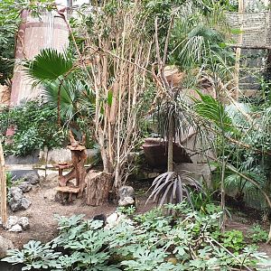 Saki and Tamarin island in the Oasis