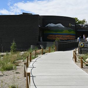 Penguin Chill - exterior entry ramp