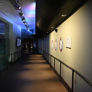 Penguin Chill - corridor