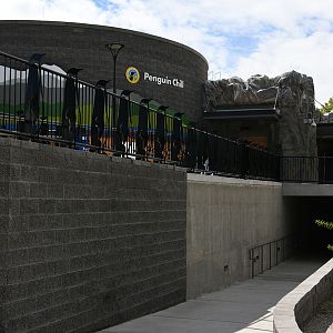 Penguin Chill - exit ramp