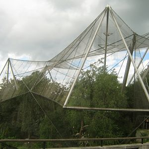 Snowdon Aviary