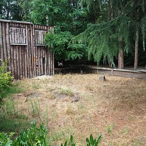 Former Hermann's tortoise exhibit, 2019-08-11