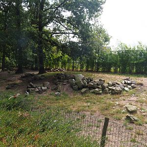 Red-crowned crane and Reeves' muntjac exhibit, 2019-08-11