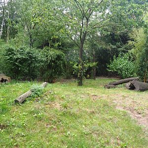 Main giant anteater paddock, 2019-08-11
