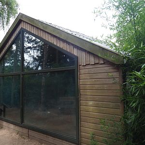 Giant anteater paddock, 2019-08-11