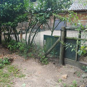 Side yard for the petting zoo animals and tunnel access to second giant anteater yard, 2019-08-11