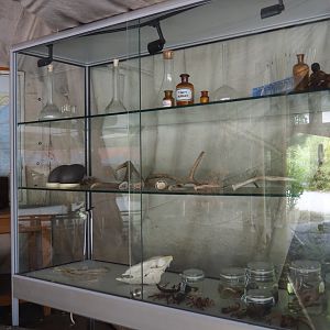 Presentation stage - Display cage with animal specimens and laboratory materials, 2019-08-11