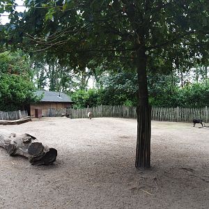 Petting zoo paddock, 2019-08-11
