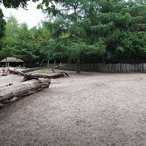 Petting zoo paddock, 2019-08-11