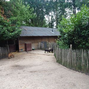 Petting zoo barn, 2019-08-11