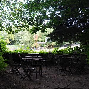 Australian Outback exhibit viewing area with picnic tables, 2019-08-11