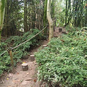 One of many little adventure trails in the zoo, 2019-08-11