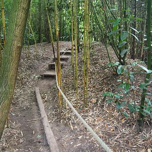 One of many little adventure trails in the zoo, 2019-08-11