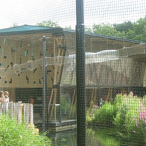 Monkey Transfer Tunnel