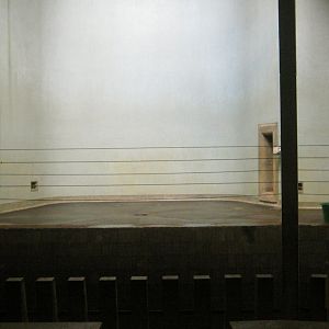 Indoor Bearded Pig Stall