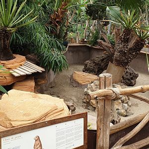 Enclosure Black-tailed prairie-dog