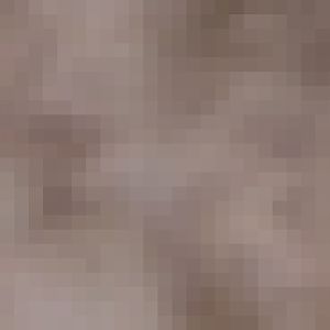 White-striped Dorcopsis