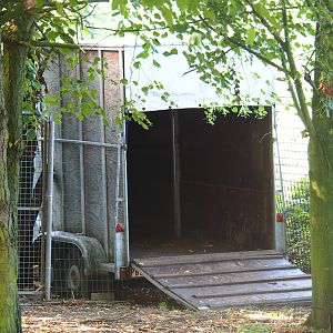Trailer as shelter for the emus, 2019-08-04