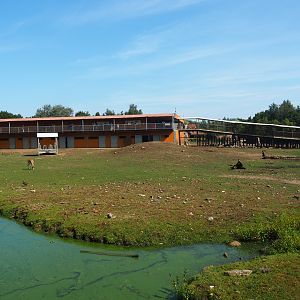 Savanna exhibit, 2019-08-04