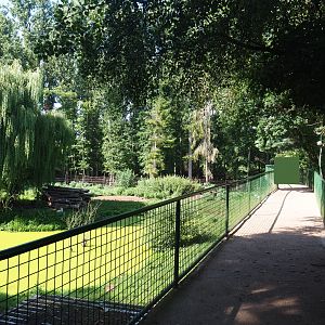 Viewing bridge overseeing the Hudson Bay wolf exhibit, 2019-08-04