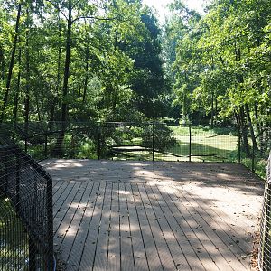Eurasian brown bear forest viewing area, 2019-08-04