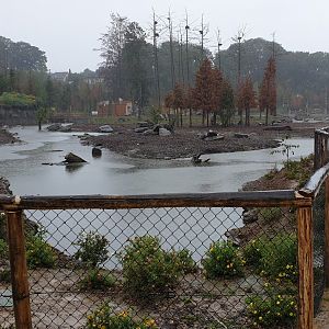 European elk and Wapiti enclosure