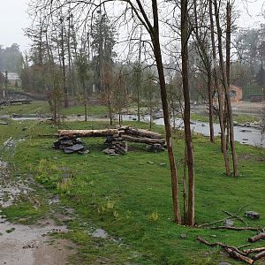 Brown and Black bear enclosure