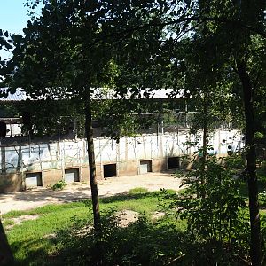 Eurasian brown bear den building and bear forest viewing area, 2019-08-04