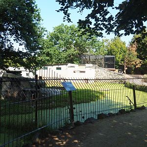 View from pathway into African lion exhibits, 2019-08-04