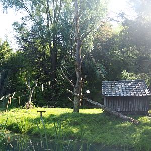 Black-and-white ruffed lemur island, 2019-08-04