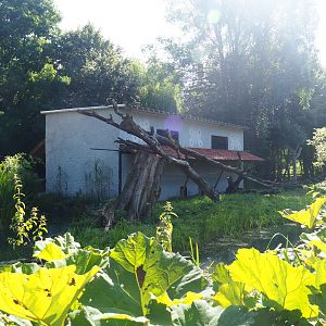 Black-and-white ruffed lemur island and house, 2019-08-04