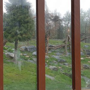 View in the Puma enclosure