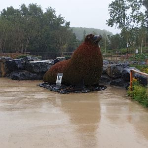 Plaza in front of the Steller's sea-lion enclosure