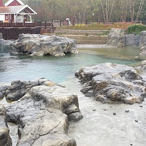 Steller's sea-lion enclosure