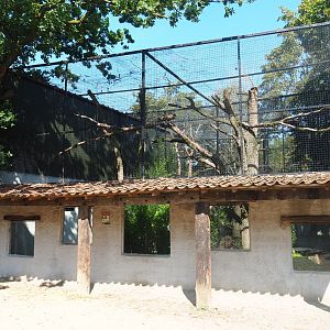 First fossa exhibit and viewing area, 2019-08-04