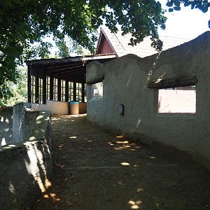 Access to mammal museum, 2019-08-04