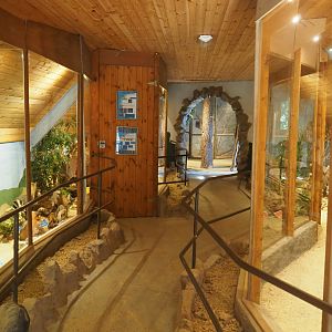 View in mammal museum, 2019-08-04