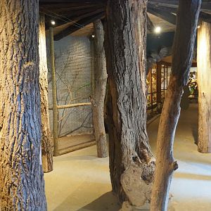 View in mammal museum - Area with former small owl cages, 2019-08-04