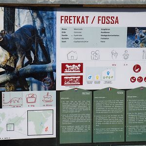 Fossa signage, 2019-08-04