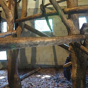Fossa indoor housing - First exhibit, 2019-08-04