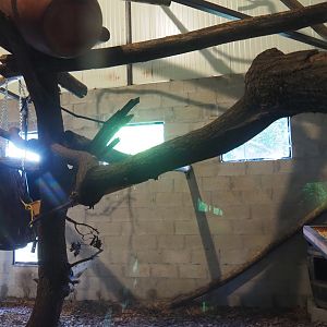 Fossa indoor housing - Second exhibit, 2019-08-04