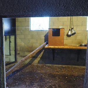 Red ruffed lemur indoor housing, 2019-08-04