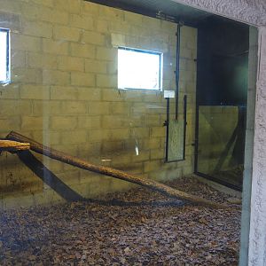 Red ruffed lemur indoor housing, 2019-08-04