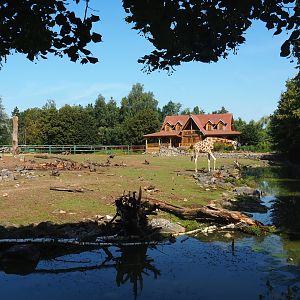 Savanna exhibit, 2019-08-04